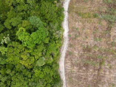 Brazil boasts drop in deforestation ahead of UN climate talks
